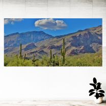 Desert Cactus Mountain View Graphics Pattern Wall Mural Vinyl Decal