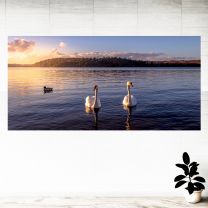 Sunset Lake View Ducks Graphics Pattern Wall Mural Vinyl Decal