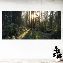 Sunset Scenery Green Trees Forest Graphics Pattern Wall Mural Vinyl Decal