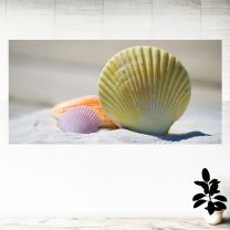 Vertical Seashells Graphics Pattern Wall Mural Vinyl Decal