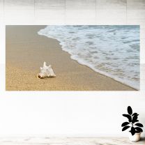 Water Sand Seashell Graphics Pattern Wall Mural Vinyl Decal