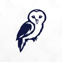 Owl Windshield Vinyl Decals Sticker